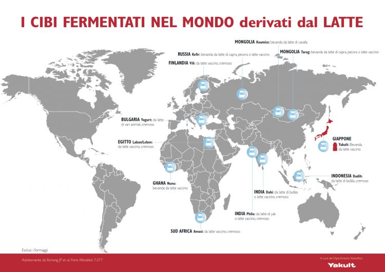 cibi fermentati - latti fermentati