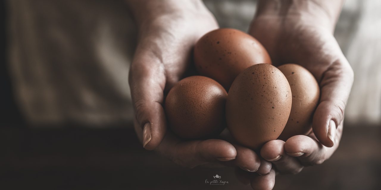 Mangiare uova migliora lo sviluppo cerebrale dei bambini
